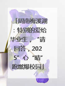 周南梅溪湖：特别的爱给毕业生，“请回答，2025”心“晴”跑燃爆校园