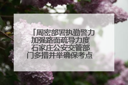 周密部署执勤警力 加强路面疏导力度 石家庄公安交管部门多措并举确保考点周边交通环境良好
