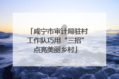 咸宁市审计局驻村工作队巧用“三招”点亮美丽乡村