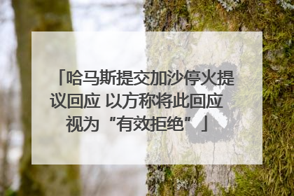 哈马斯提交加沙停火提议回应 以方称将此回应视为“有效拒绝”