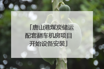 唐山港煤炭储运配套翻车机房项目开始设备安装