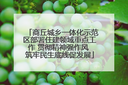 商丘城乡一体化示范区部署住建领域重点工作 贯彻精神强作风 筑牢民生底线促发展