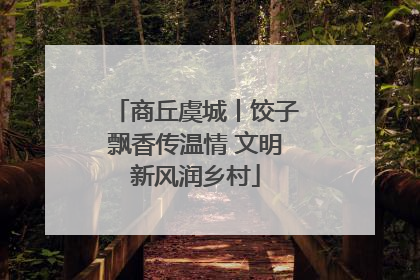 商丘虞城丨饺子飘香传温情 文明新风润乡村
