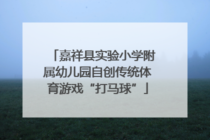嘉祥县实验小学附属幼儿园自创传统体育游戏“打马球”