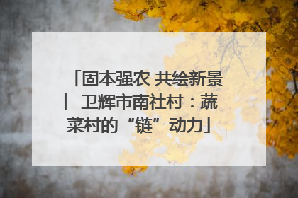 固本强农 共绘新景 ︳卫辉市南社村：蔬菜村的“链”动力