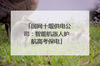 国网十堰供电公司：智能机器人护航高考保电