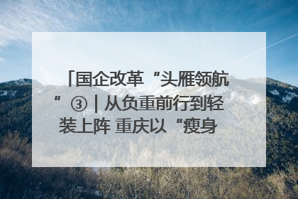 国企改革“头雁领航”③｜从负重前行到轻装上阵 重庆以“瘦身”谋“健体”