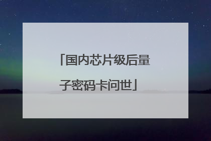 国内芯片级后量子密码卡问世