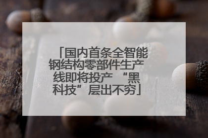 国内首条全智能钢结构零部件生产线即将投产 “黑科技”层出不穷