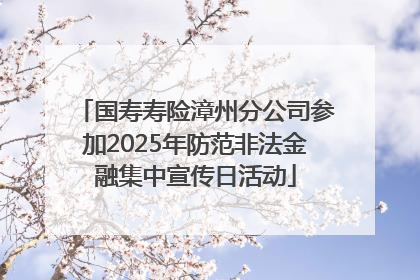 国寿寿险漳州分公司参加2025年防范非法金融集中宣传日活动