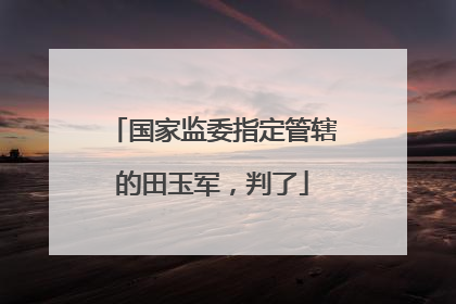 国家监委指定管辖的田玉军，判了