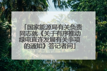 国家能源局有关负责同志就《关于有序推动绿电直连发展有关事项的通知》答记者问