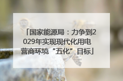 国家能源局：力争到2029年实现现代化用电营商环境“五化”目标