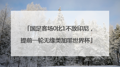 国足客场0比1不敌印尼，提前一轮无缘美加墨世界杯