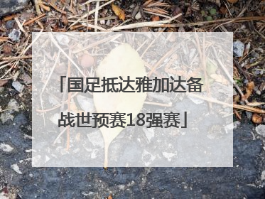 国足抵达雅加达备战世预赛18强赛