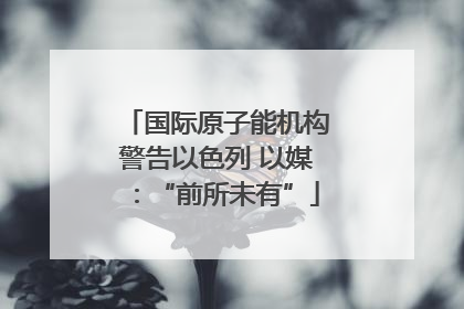 国际原子能机构警告以色列 以媒：“前所未有”