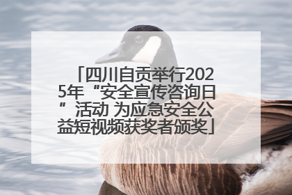 四川自贡举行2025年“安全宣传咨询日”活动 为应急安全公益短视频获奖者颁奖