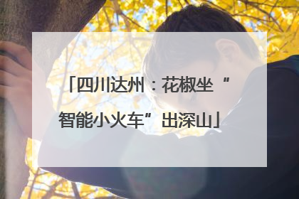 四川达州：花椒坐“智能小火车”出深山