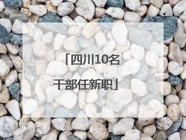 四川10名干部任新职