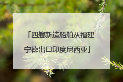 四艘新造船舶从福建宁德出口印度尼西亚