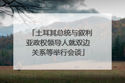 土耳其总统与叙利亚政权领导人就双边关系等举行会谈