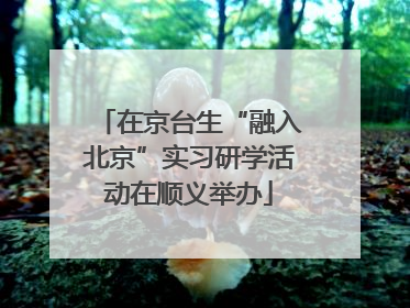 在京台生“融入北京”实习研学活动在顺义举办