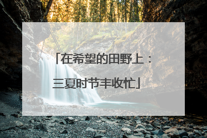 在希望的田野上：三夏时节丰收忙