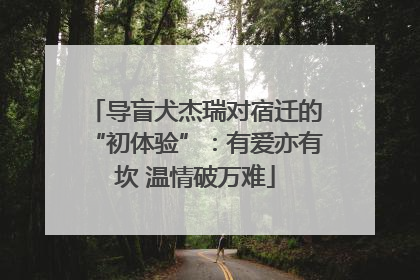 导盲犬杰瑞对宿迁的“初体验”：有爱亦有坎 温情破万难