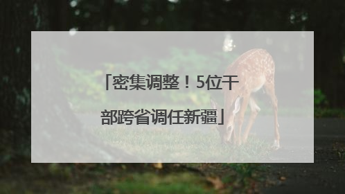 密集调整！5位干部跨省调任新疆