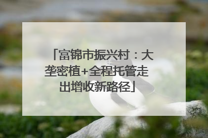 富锦市振兴村：大垄密植+全程托管走出增收新路径