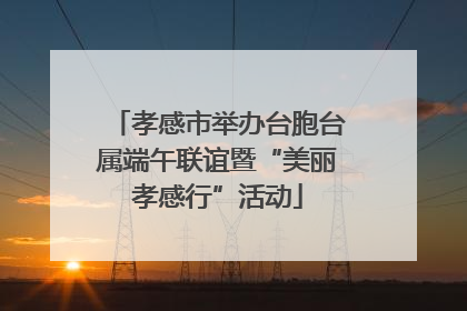 孝感市举办台胞台属端午联谊暨“美丽孝感行”活动