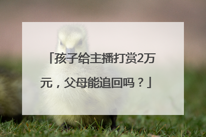 孩子给主播打赏2万元，父母能追回吗？