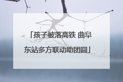 孩子被落高铁 曲阜东站多方联动助团圆