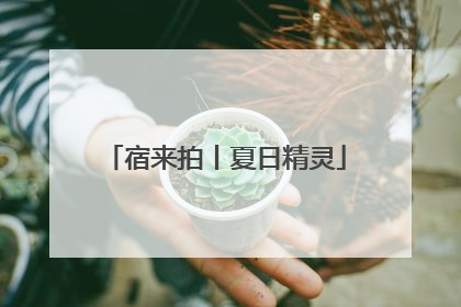 宿来拍丨夏日精灵