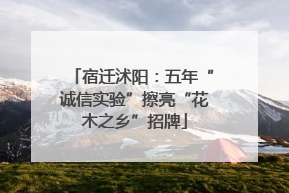 宿迁沭阳：五年“诚信实验”擦亮“花木之乡”招牌