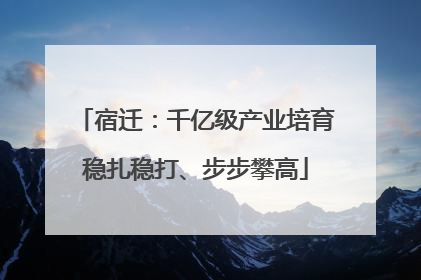 宿迁：千亿级产业培育稳扎稳打、步步攀高