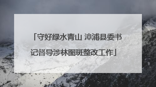 守好绿水青山 漳浦县委书记督导涉林图斑整改工作