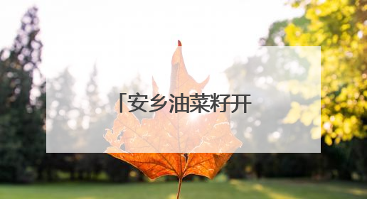 安乡油菜籽开榨！7D技术锁住营养与香味