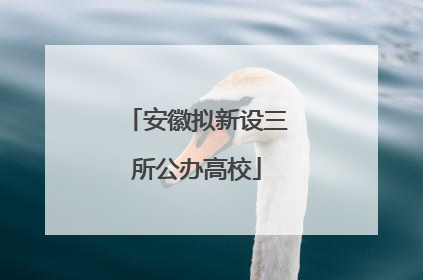 安徽拟新设三所公办高校