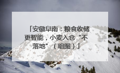 安徽阜南：粮食收储更智能，小麦入仓“不落地”（组图）