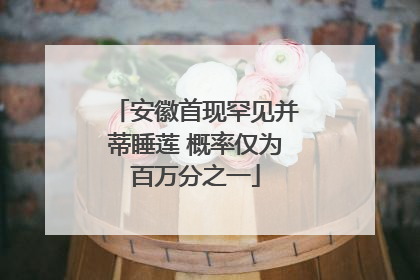 安徽首现罕见并蒂睡莲 概率仅为百万分之一
