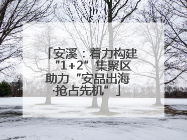 安溪：着力构建“1+2”集聚区 助力“安品出海·抢占先机”