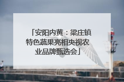 安阳内黄：梁庄镇特色蔬果亮相央视农业品牌甄选会