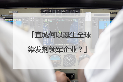 宜城何以诞生全球染发剂领军企业？