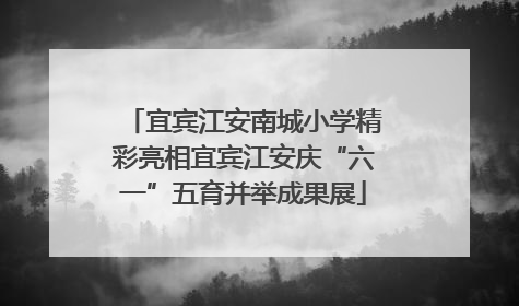 宜宾江安南城小学精彩亮相宜宾江安庆“六一”五育并举成果展