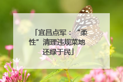宜昌点军：“柔性”清理违规菜地 还绿于民