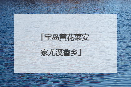 宝岛黄花菜安家尤溪畲乡