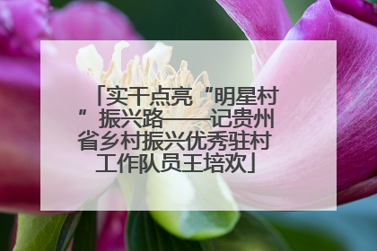 实干点亮“明星村”振兴路——记贵州省乡村振兴优秀驻村工作队员王培欢
