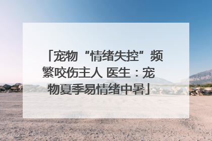 宠物“情绪失控”频繁咬伤主人 医生：宠物夏季易情绪中暑