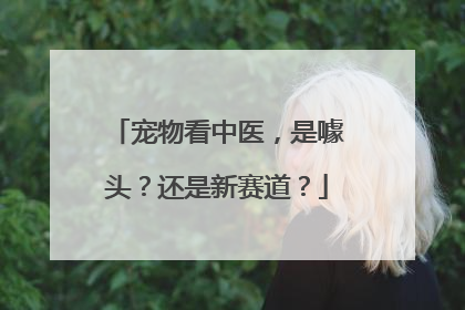宠物看中医，是噱头？还是新赛道？